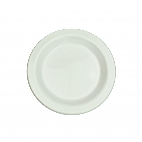 cheap disposable plates wholesale